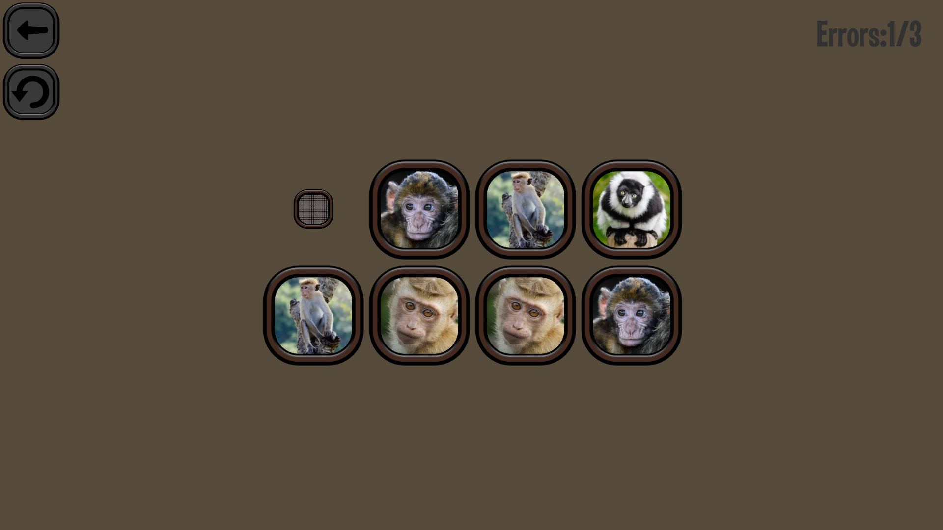 Animals Memory: Monkeys screenshot 6