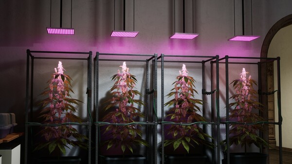 Drug Dealer Simulator 2 screenshot