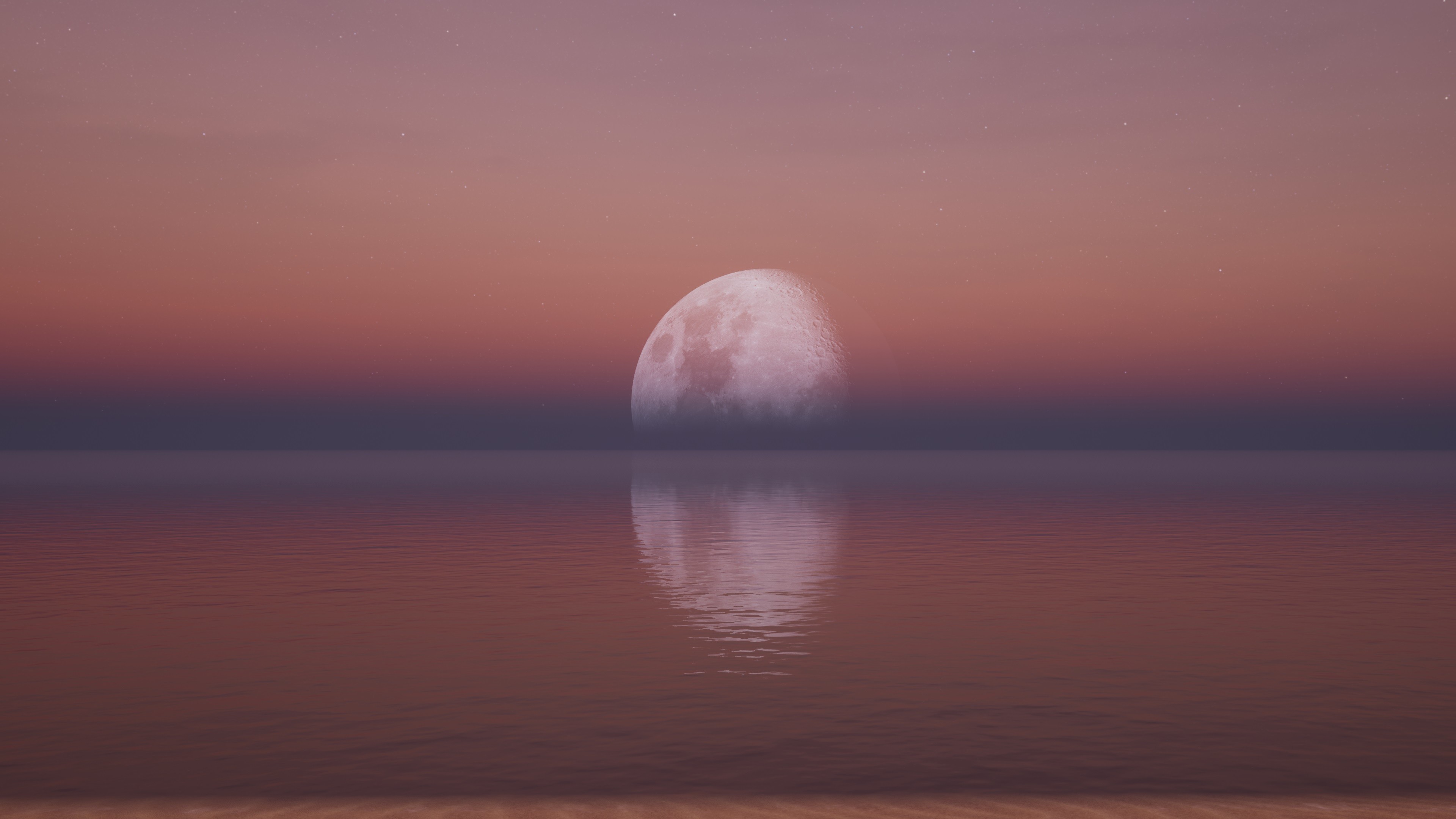FleurBirdShoot screenshot 9