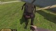 Screenshot 21