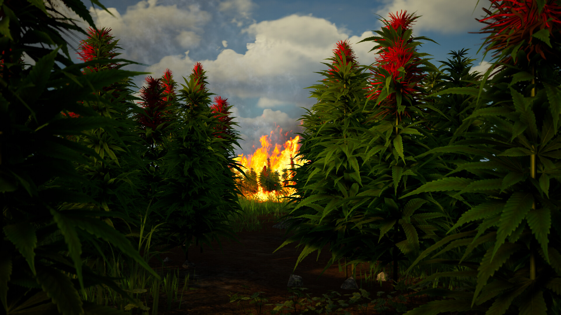 Illegal Plantation screenshot 2