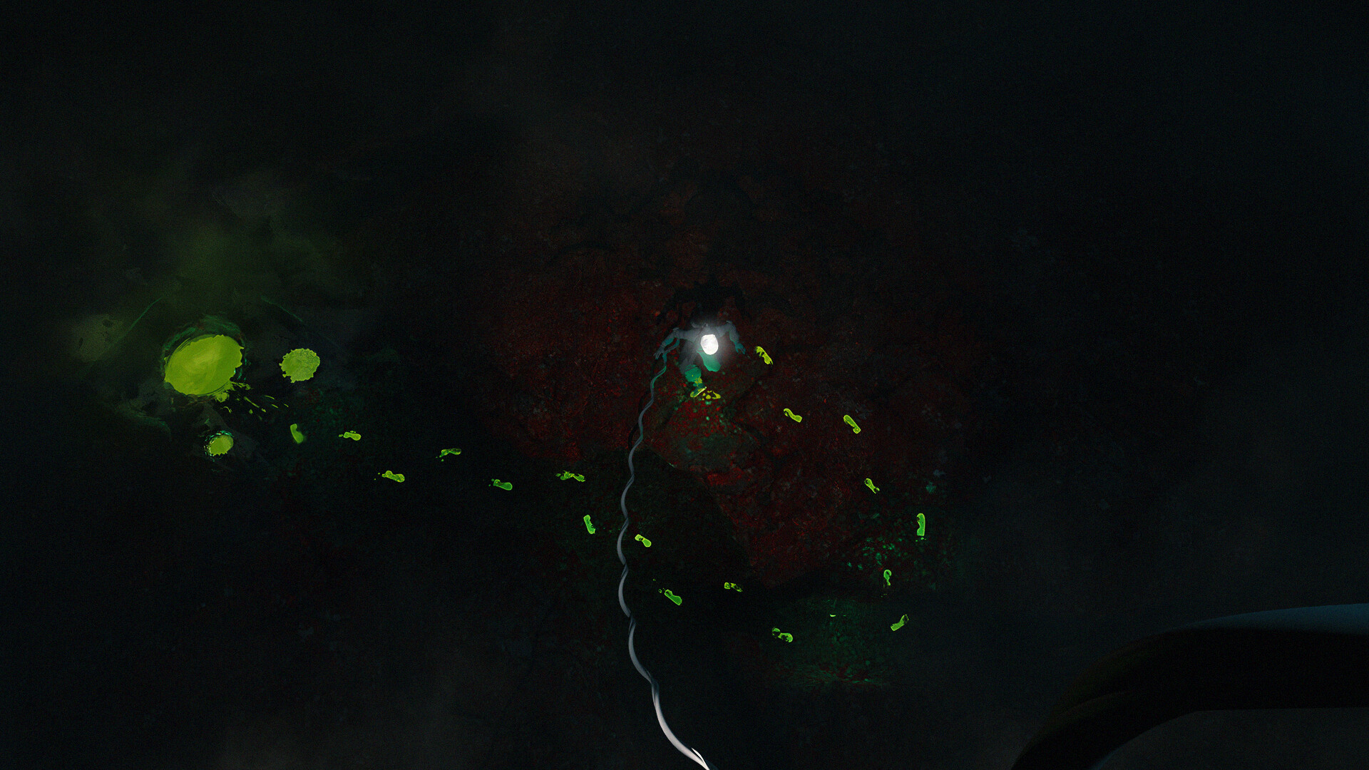 Umbilical screenshot 6