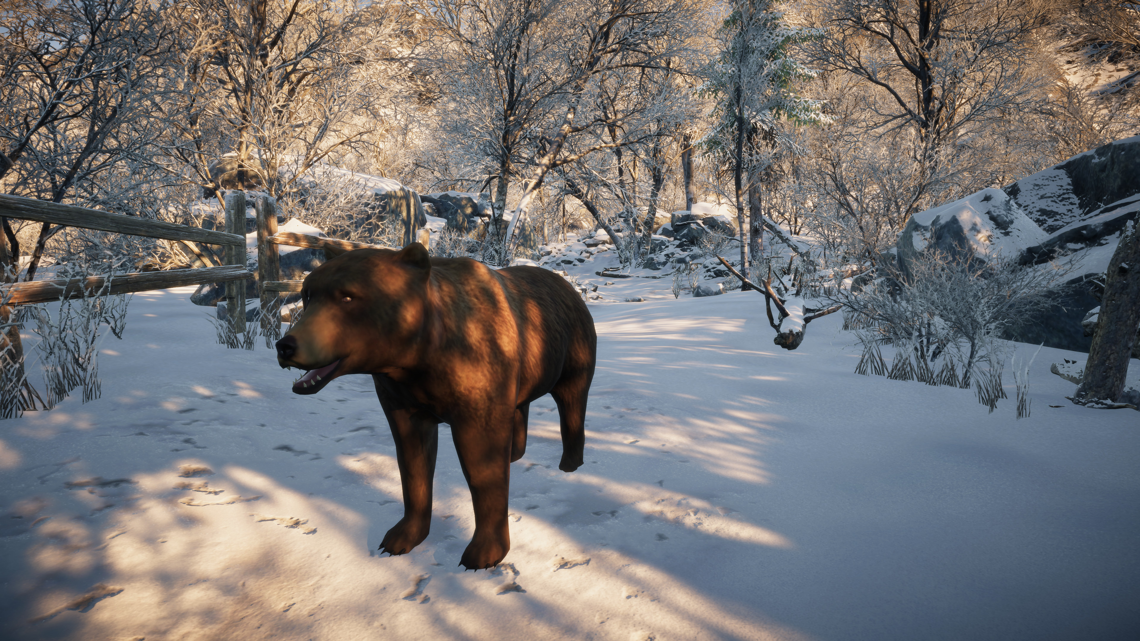 Animals for Clip maker screenshot 8