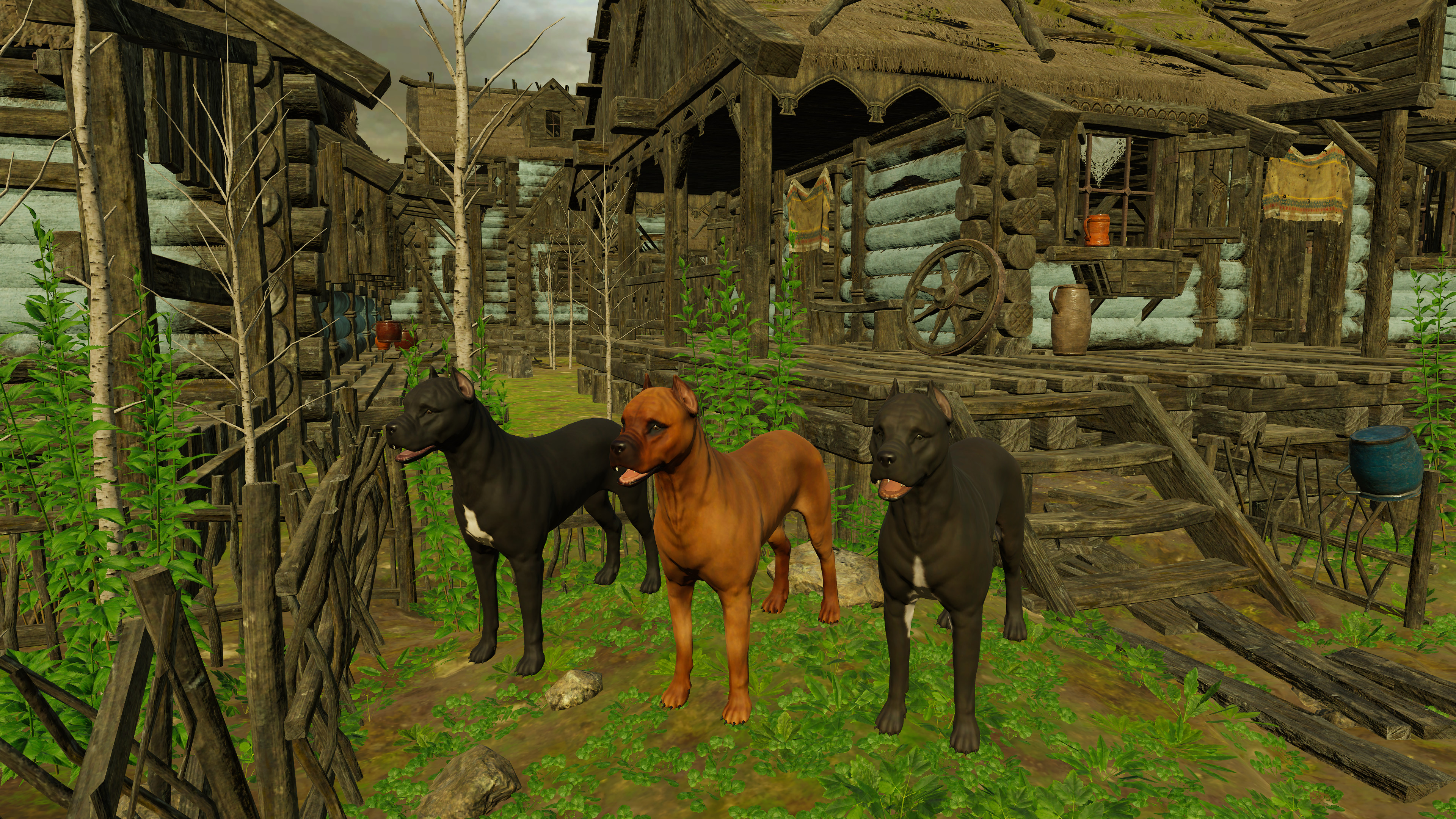 Animals for Clip maker screenshot 10