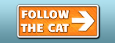 Follow The Cat