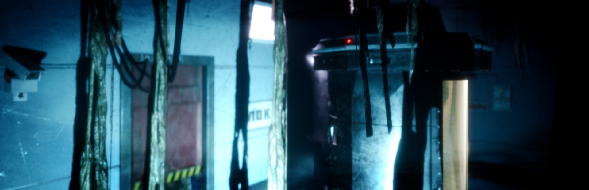 Capsule