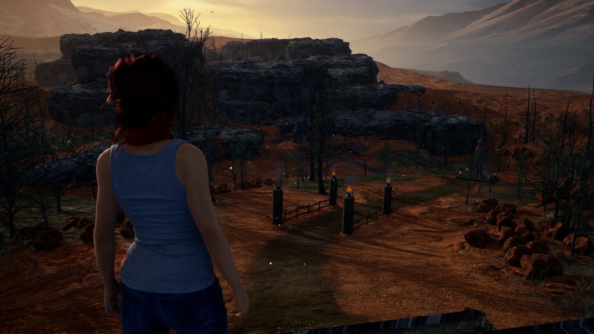 Fira screenshot 5