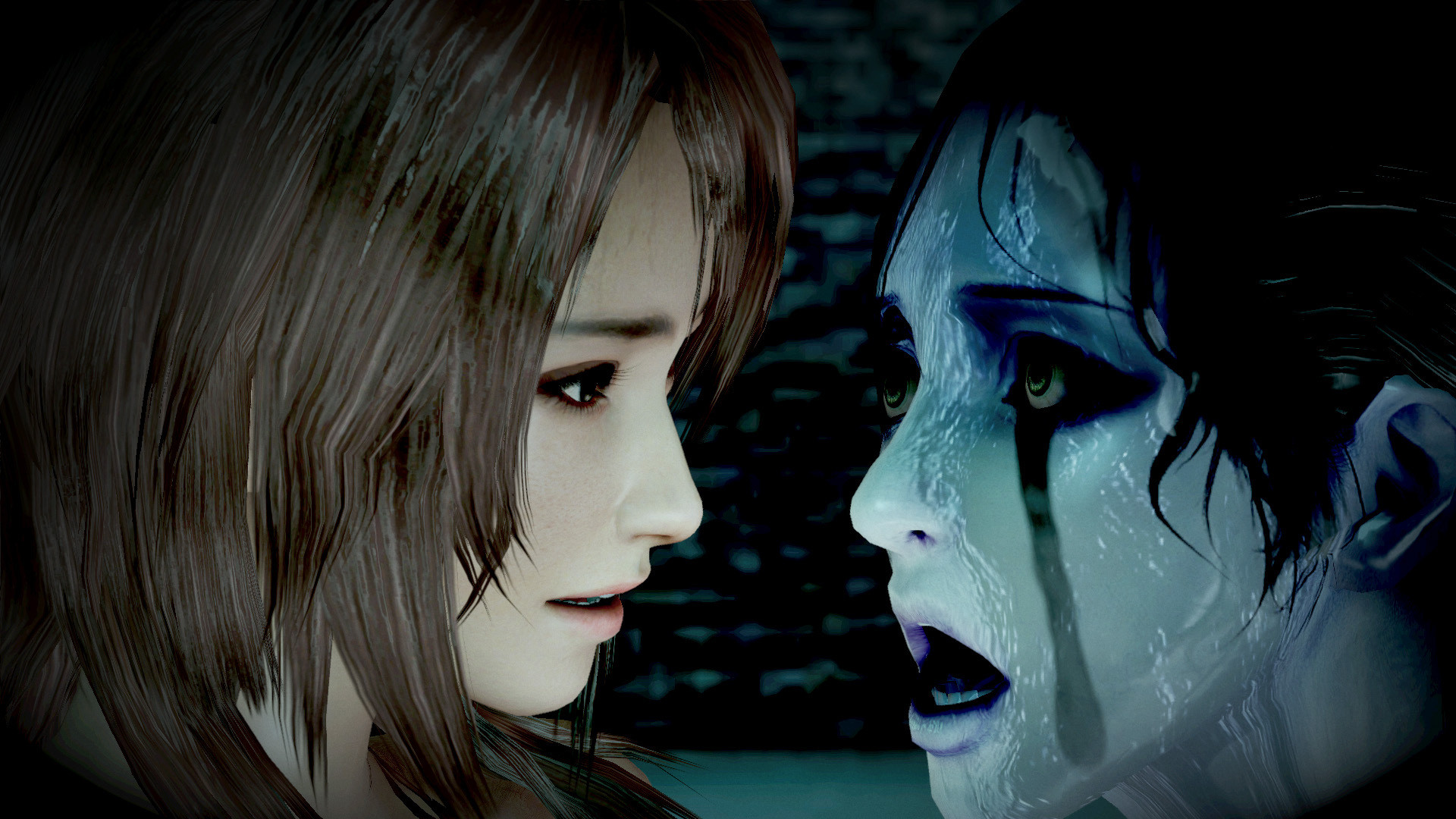 Fatal Frame Project Zero Maiden of Black Water PC screenshot