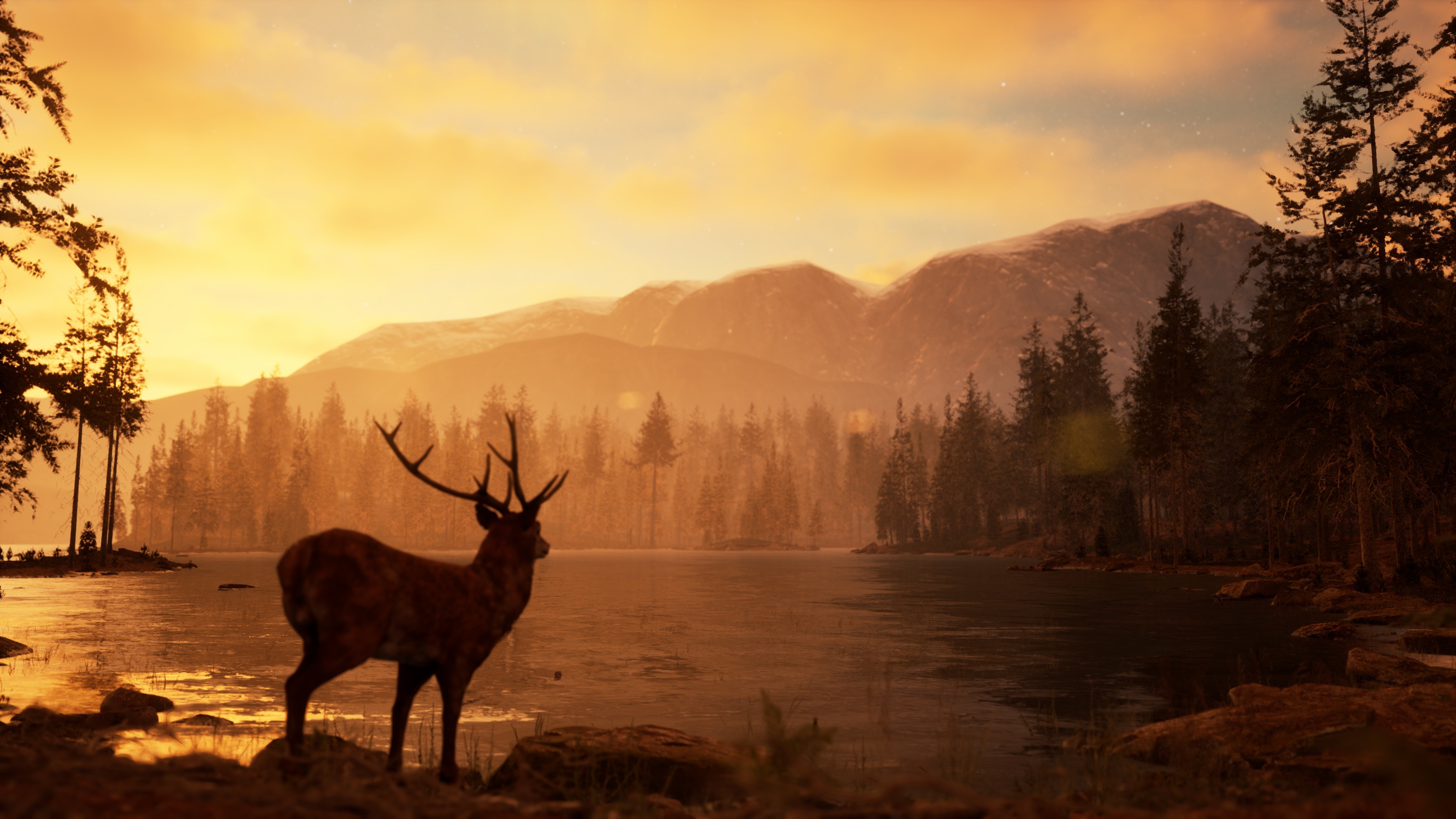 Photography Simulator screenshot 11