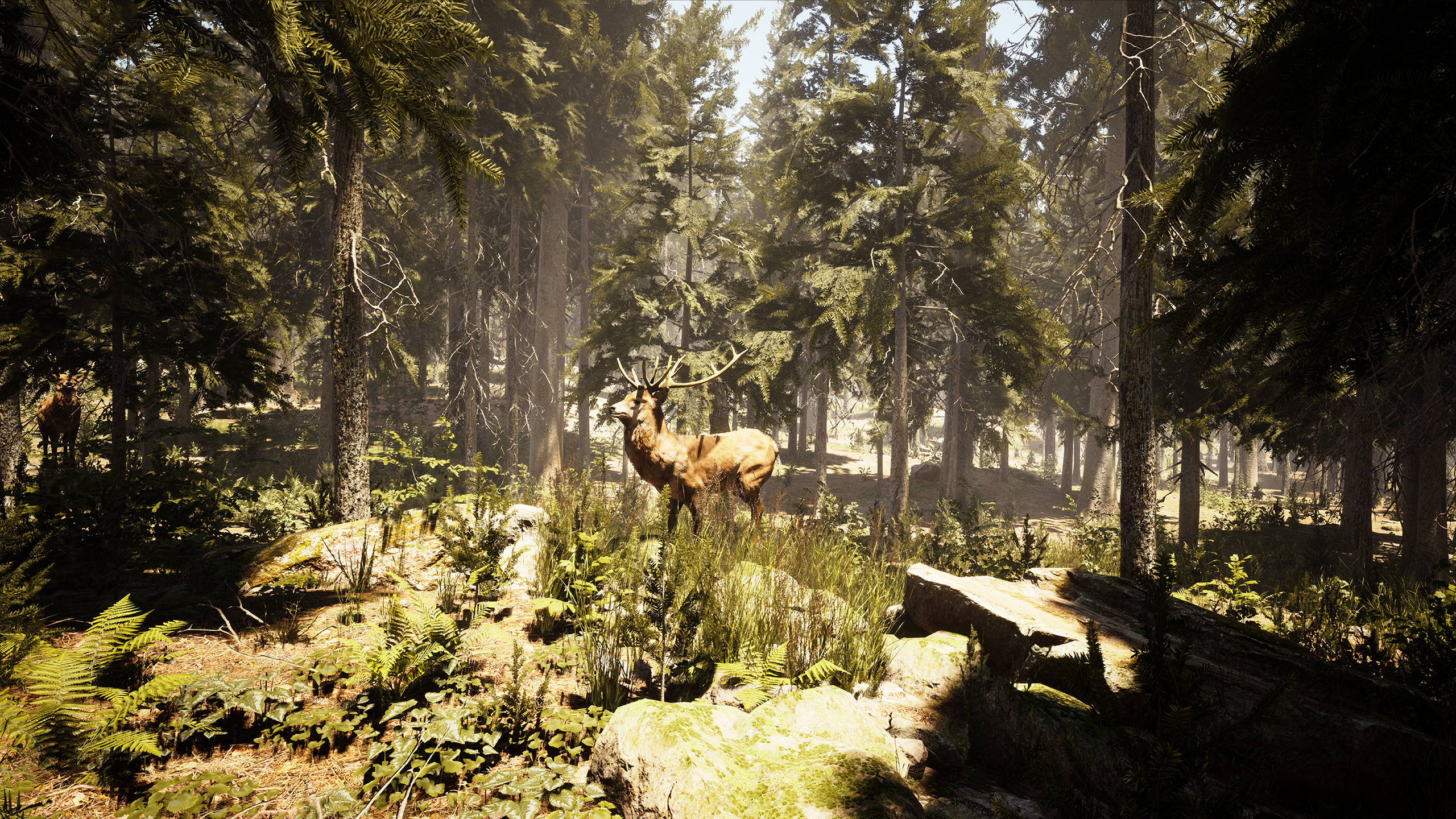 Photography Simulator screenshot 9