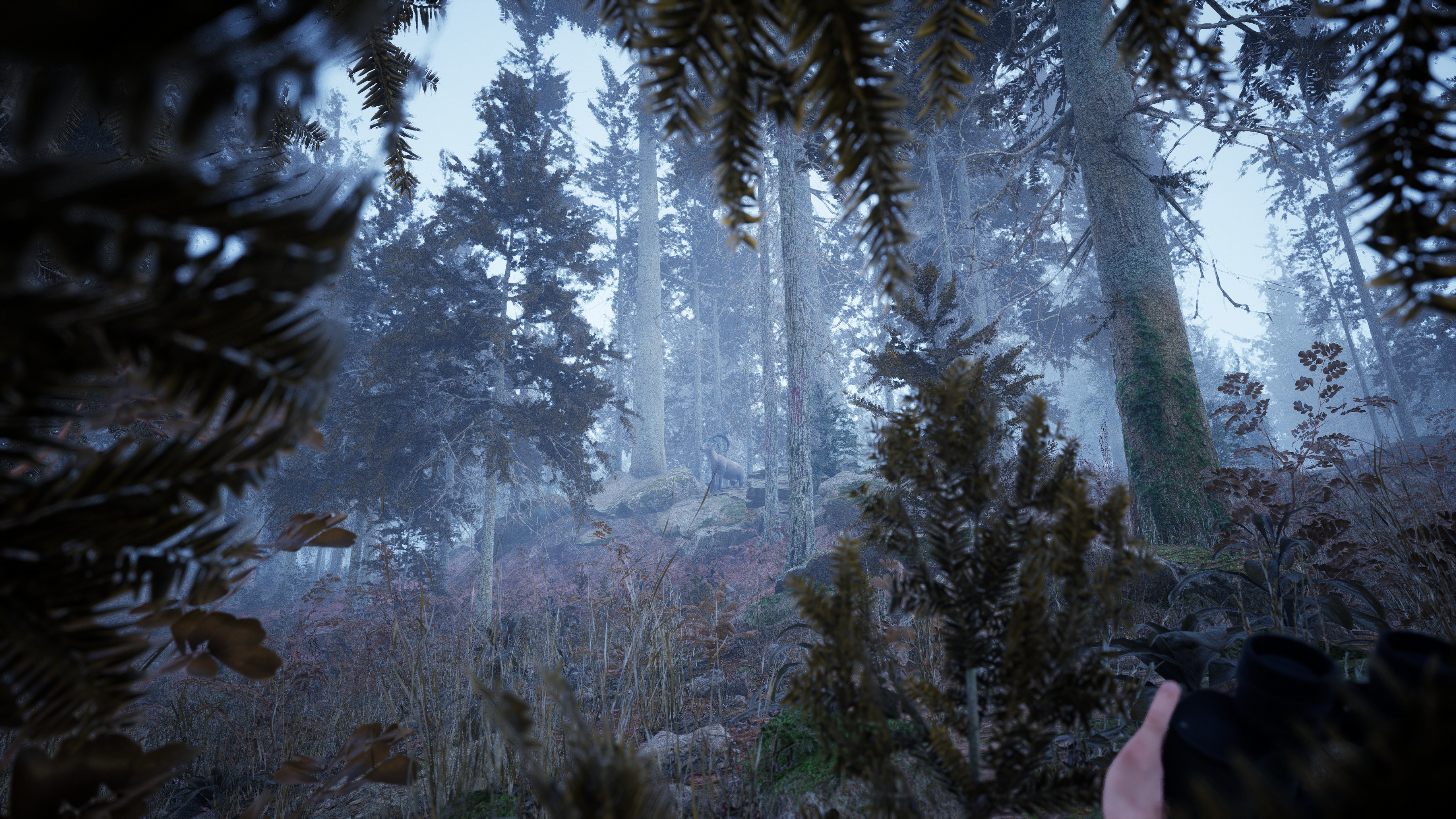 Photography Simulator screenshot 8