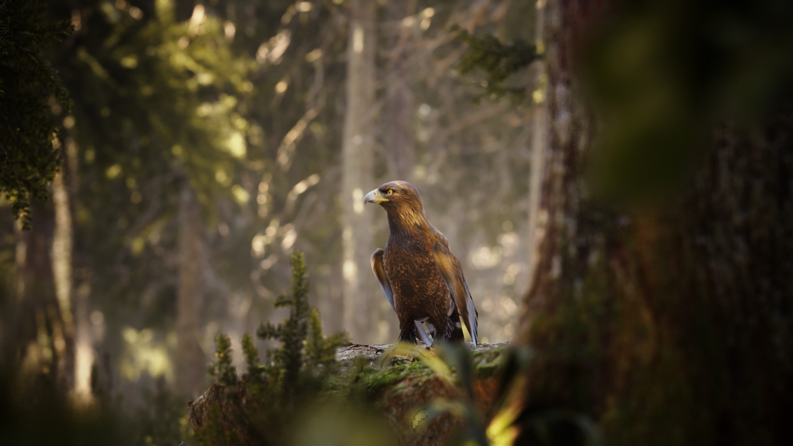 Photography Simulator screenshot 6