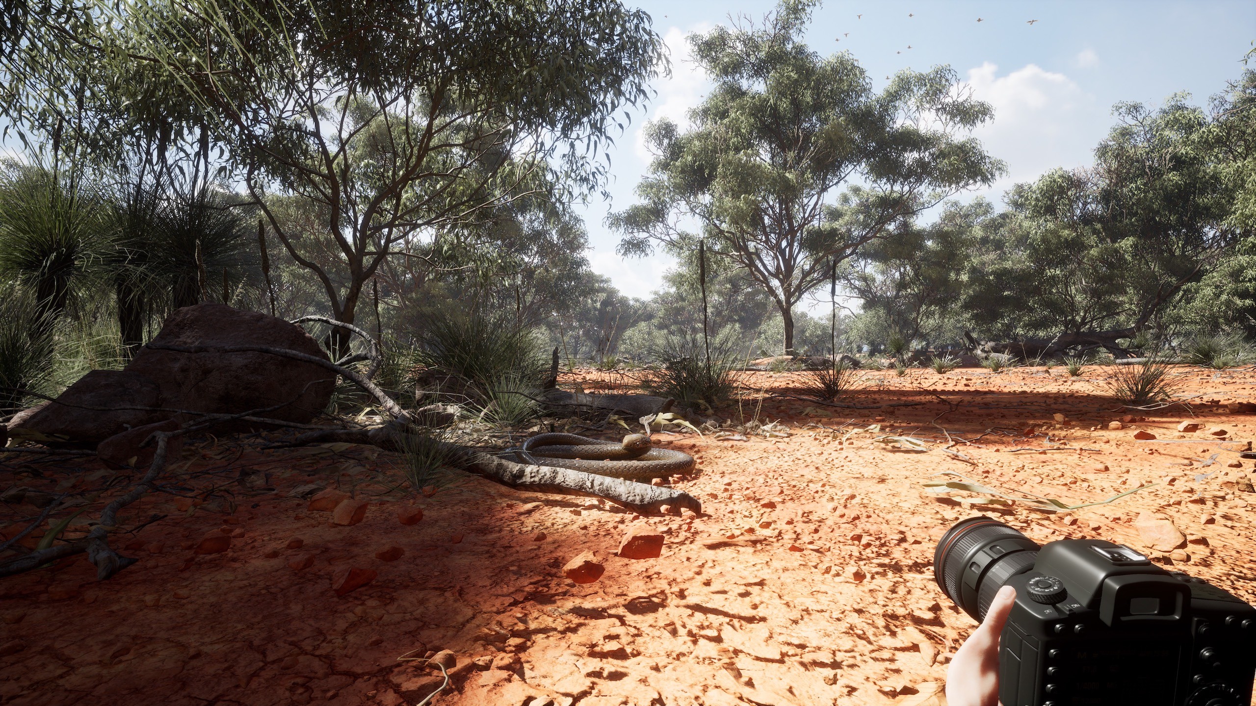 Photography Simulator screenshot 7