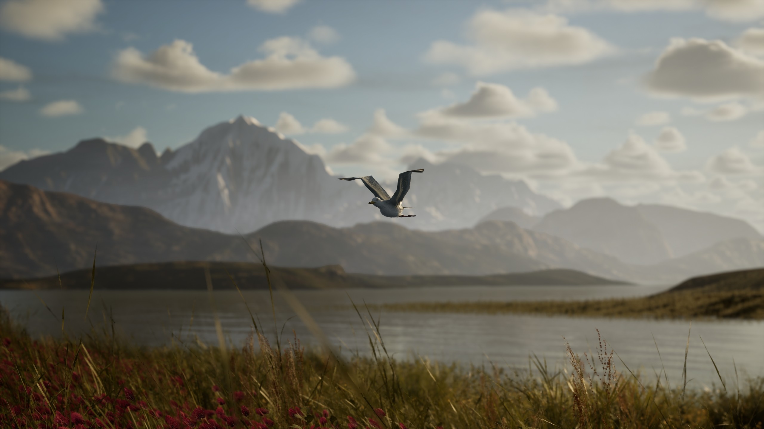 Photography Simulator screenshot 12