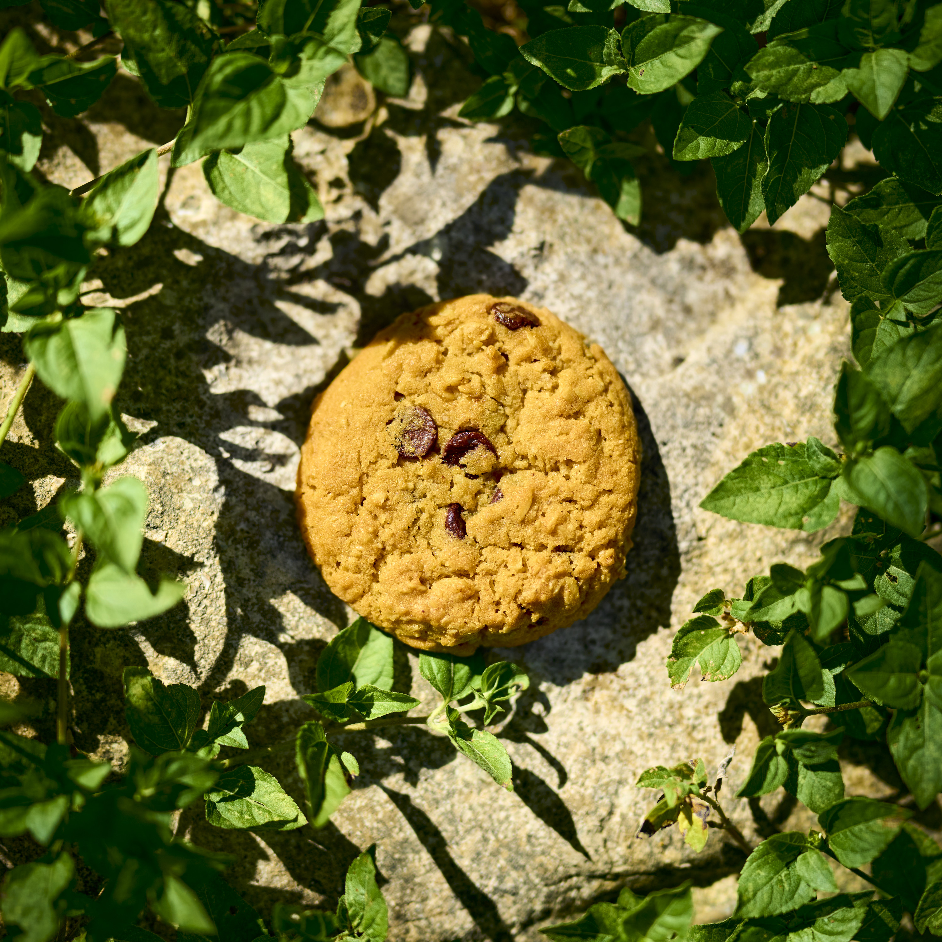Cookie Clicker Soundtrack screenshot 1