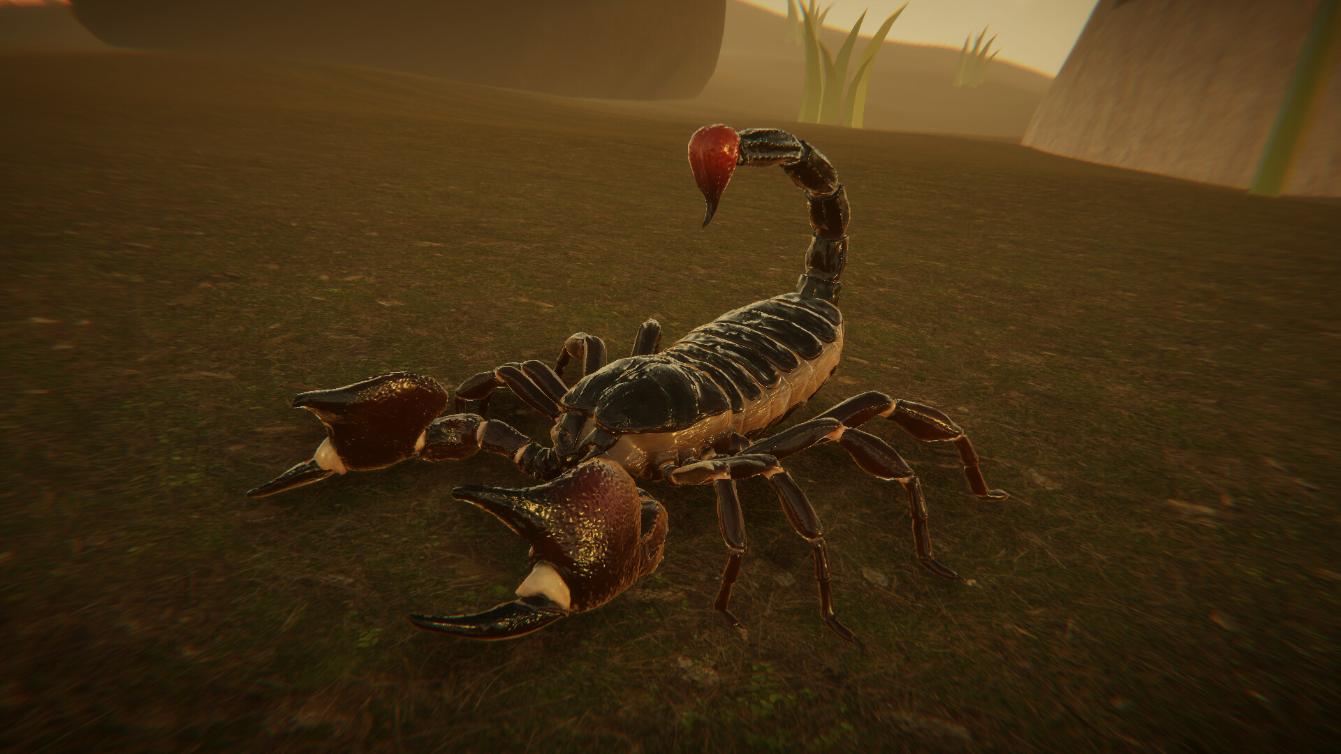 For The Hive screenshot 10