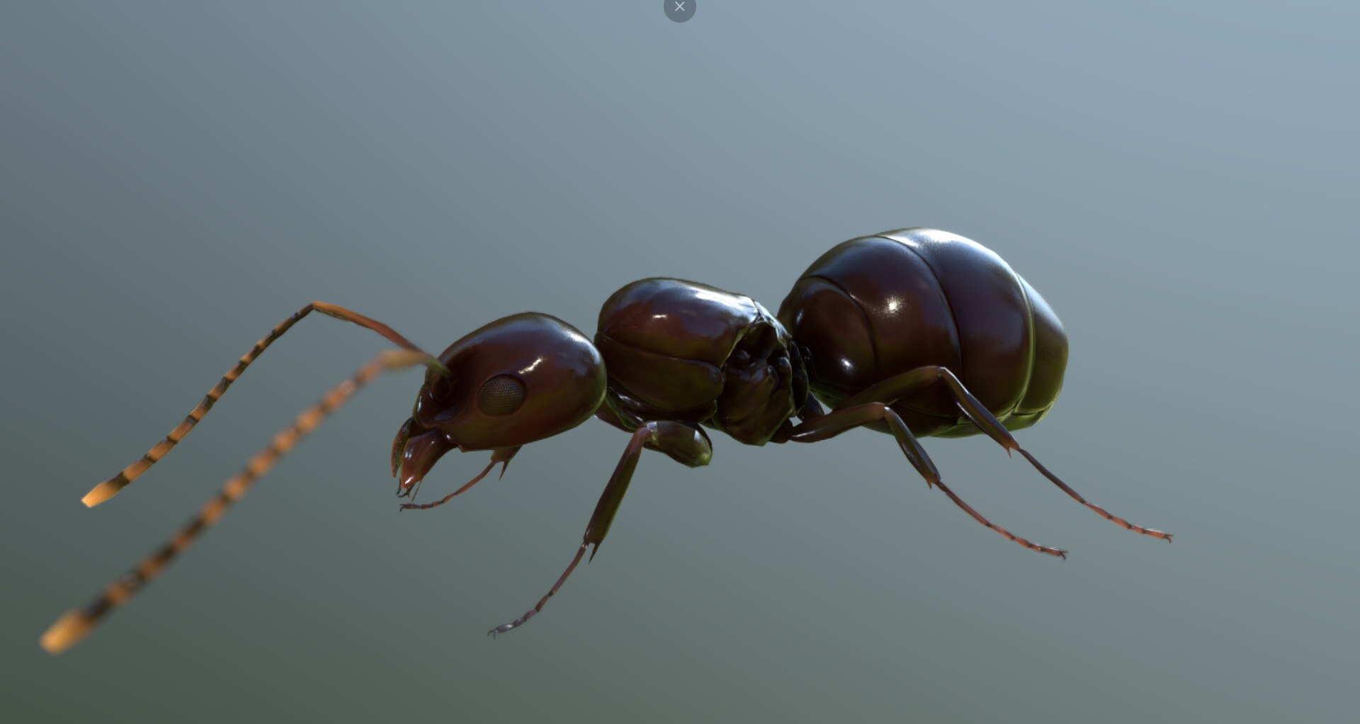 For The Hive screenshot 14
