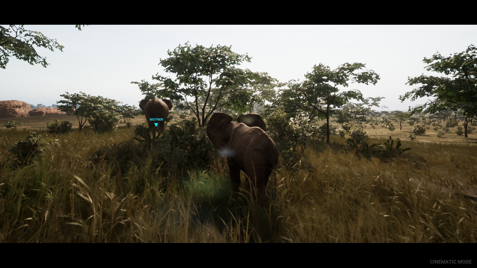 THE GREAT CIRCLE screenshot 11
