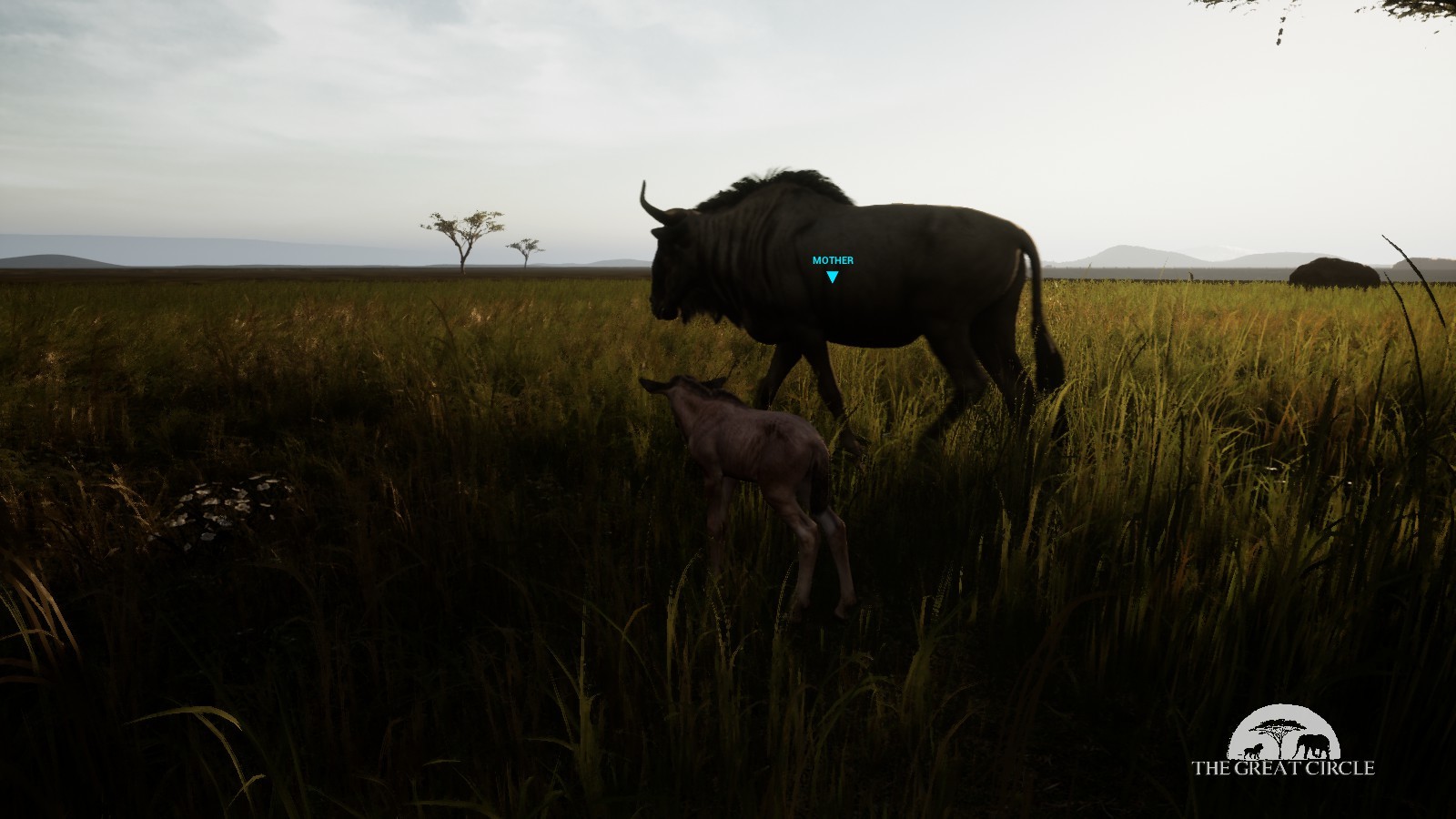 THE GREAT CIRCLE screenshot 10
