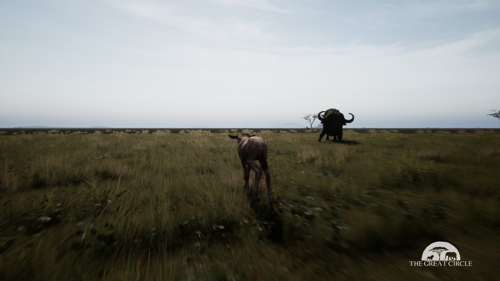 THE GREAT CIRCLE screenshot 20