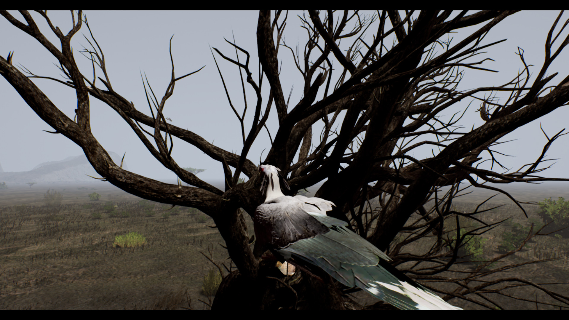 THE GREAT CIRCLE screenshot 15