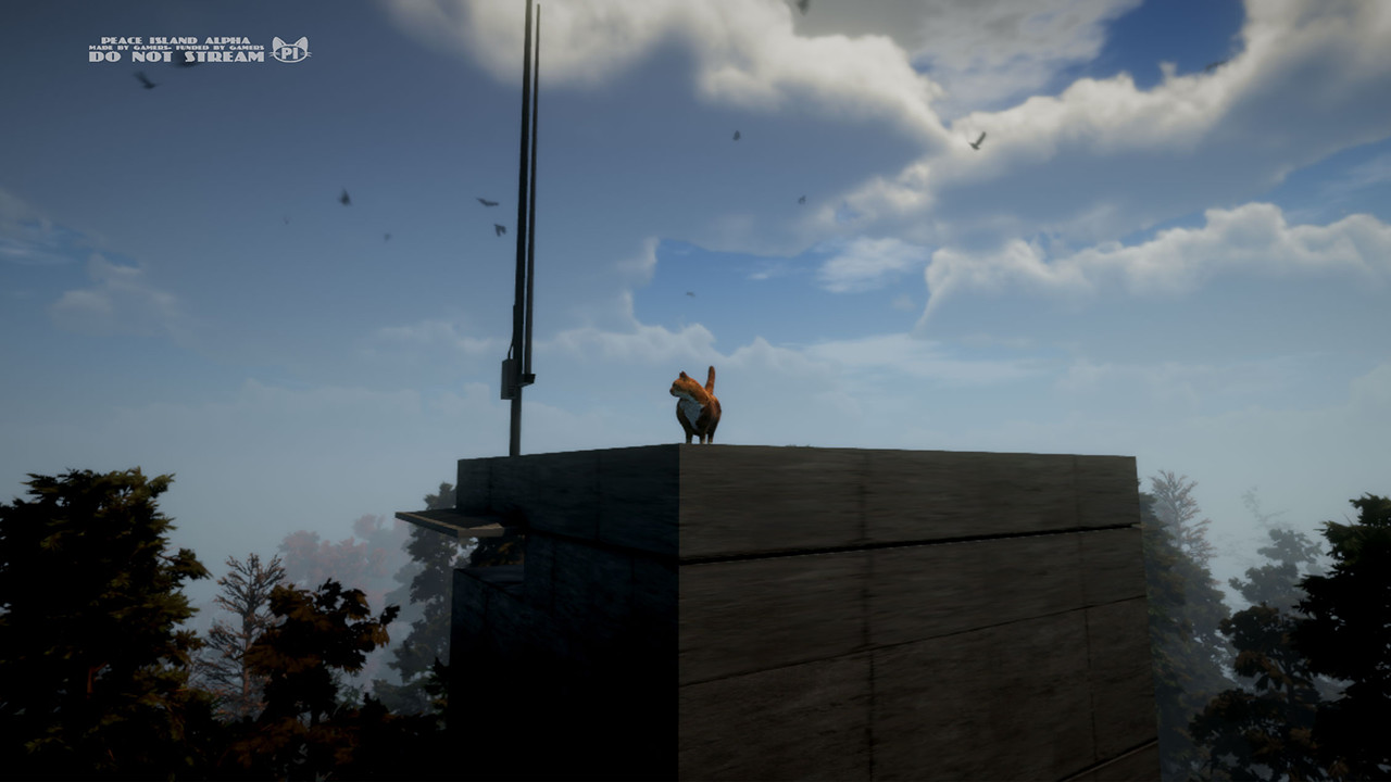 Peace Island screenshot 8