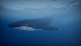 Screenshot #6