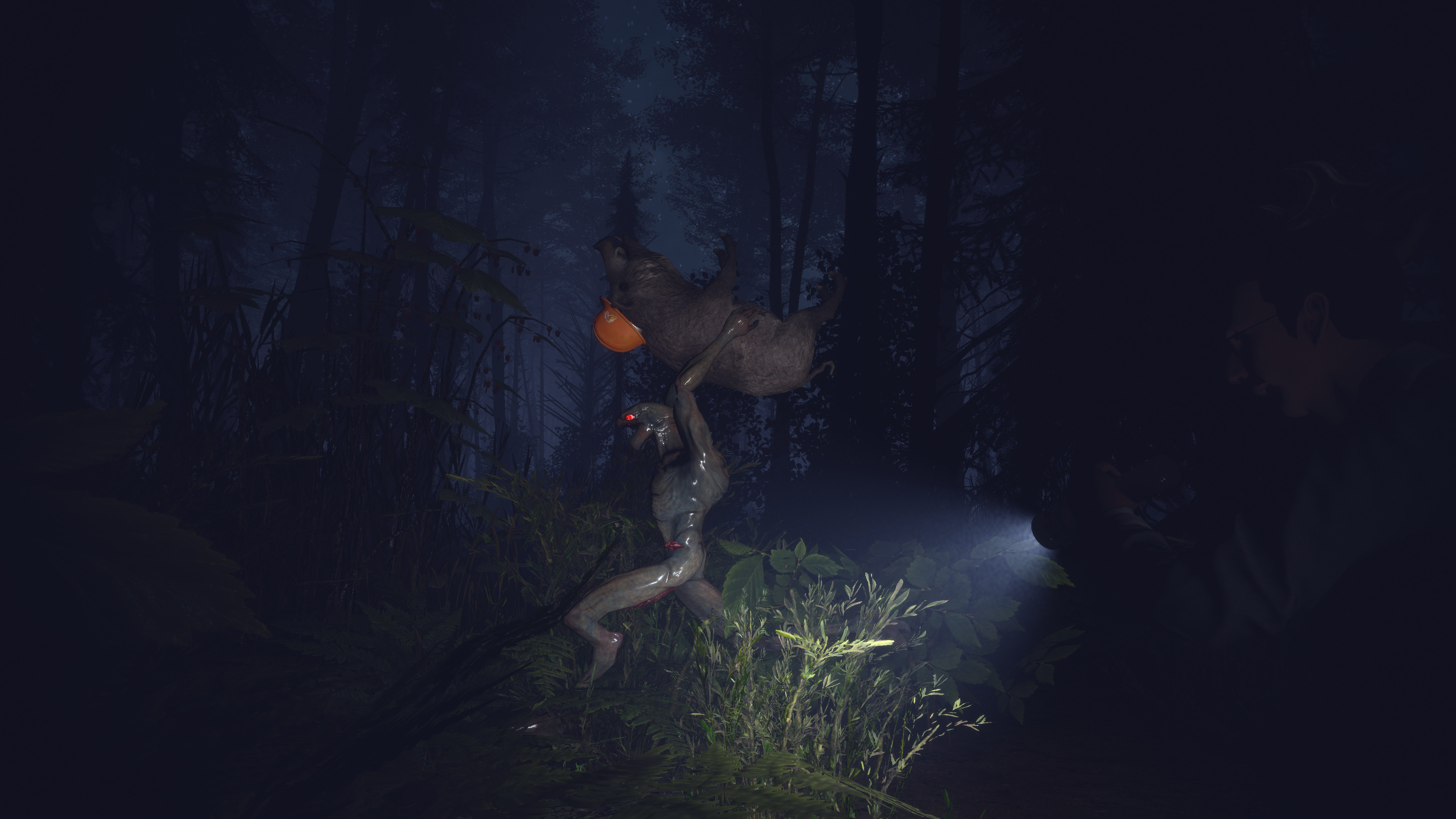 Light, Dark or Hrak? screenshot 6