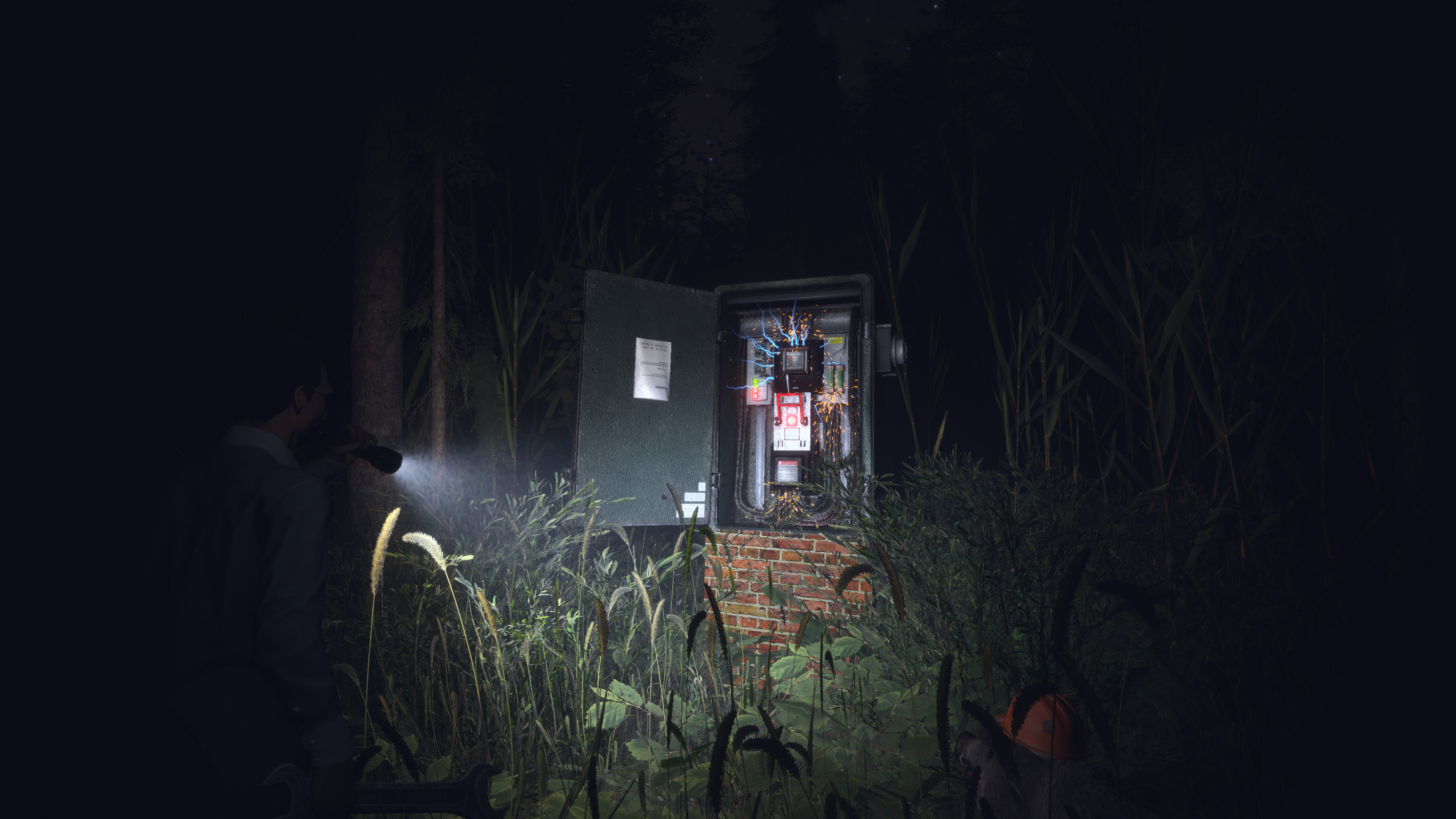 Light, Dark or Hrak? screenshot 8