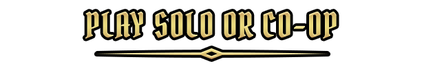 Play_Solo_or_CO-OP.png