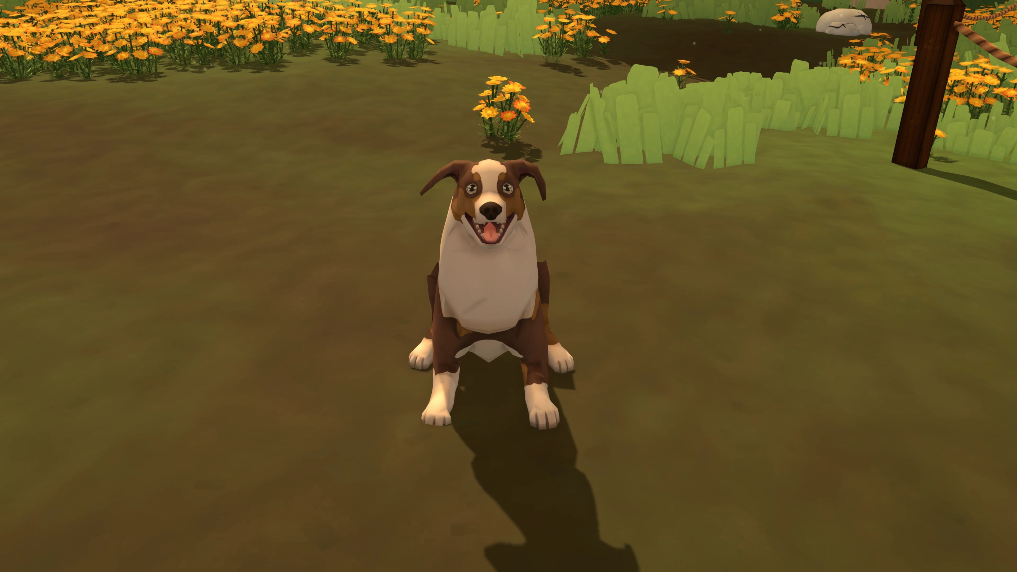 Miska screenshot 3