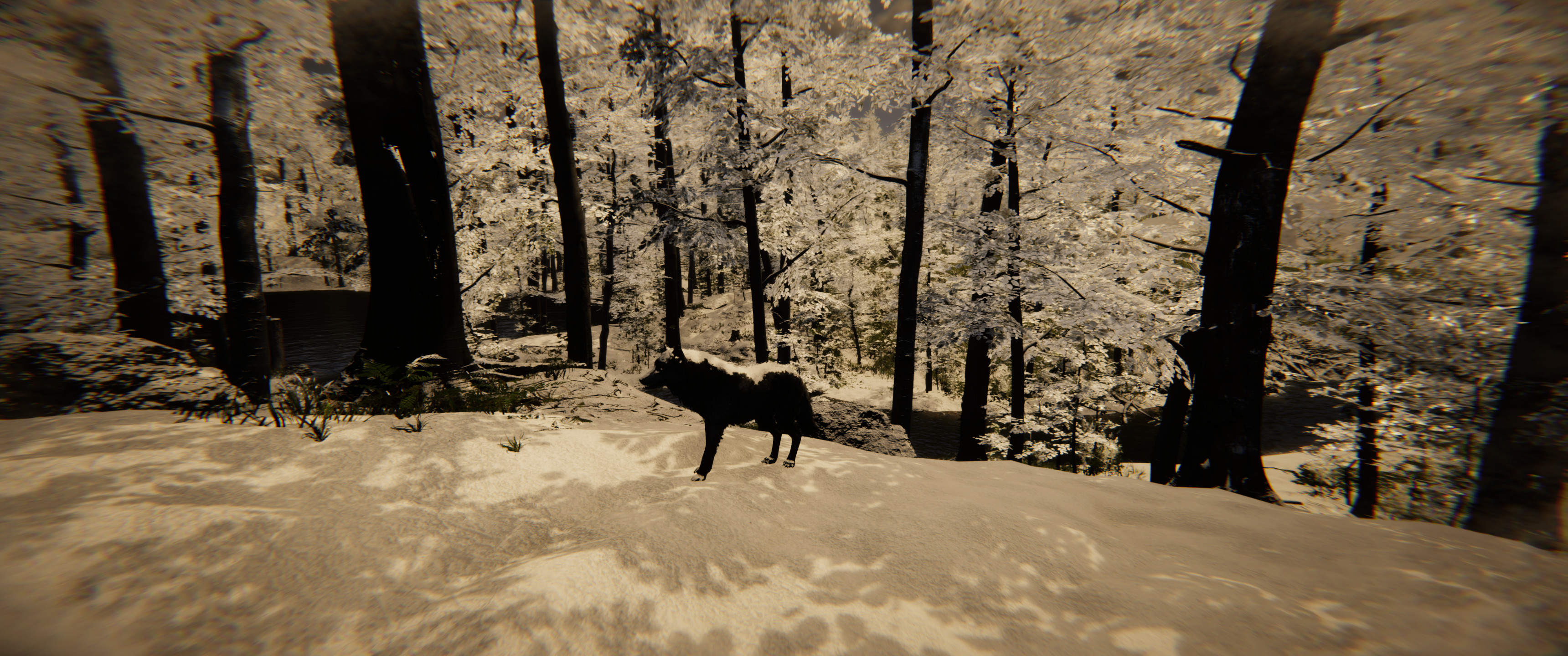 Animal Simulator screenshot 13