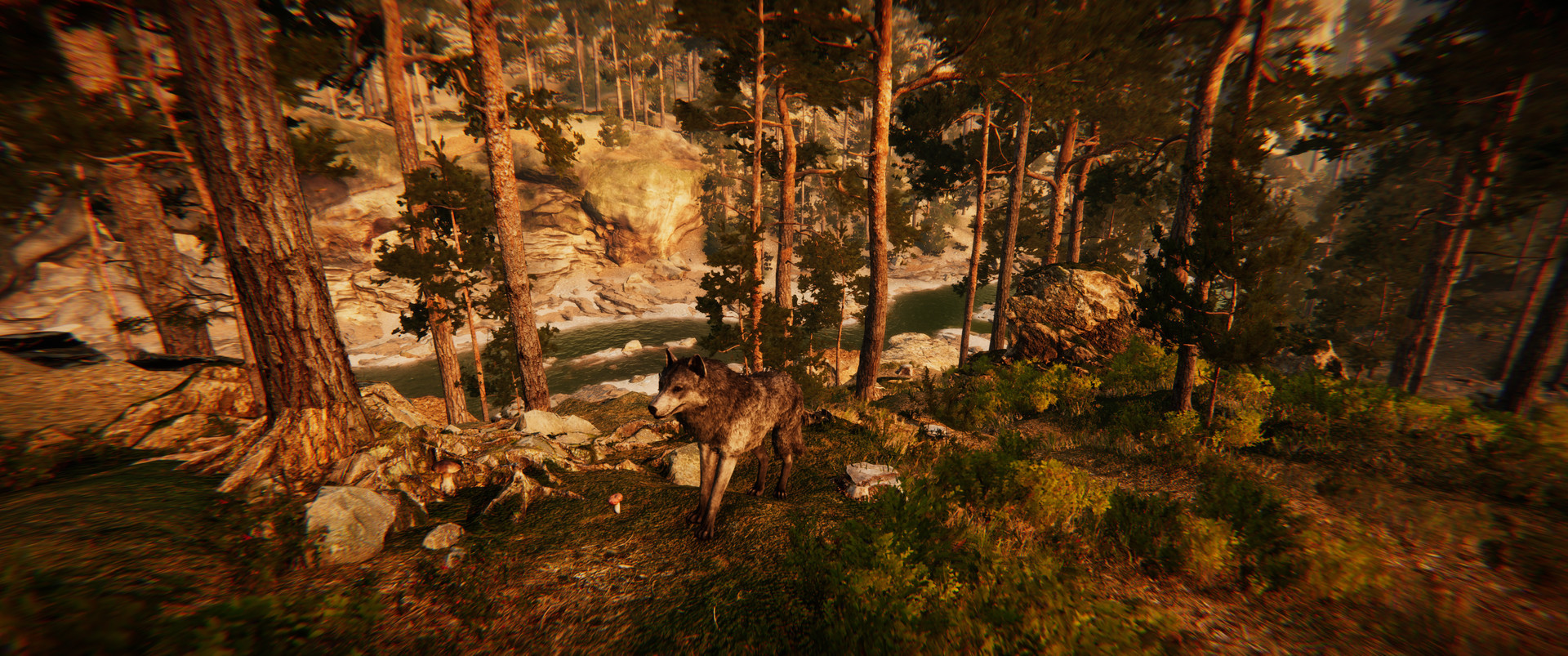 Animal Simulator screenshot 40