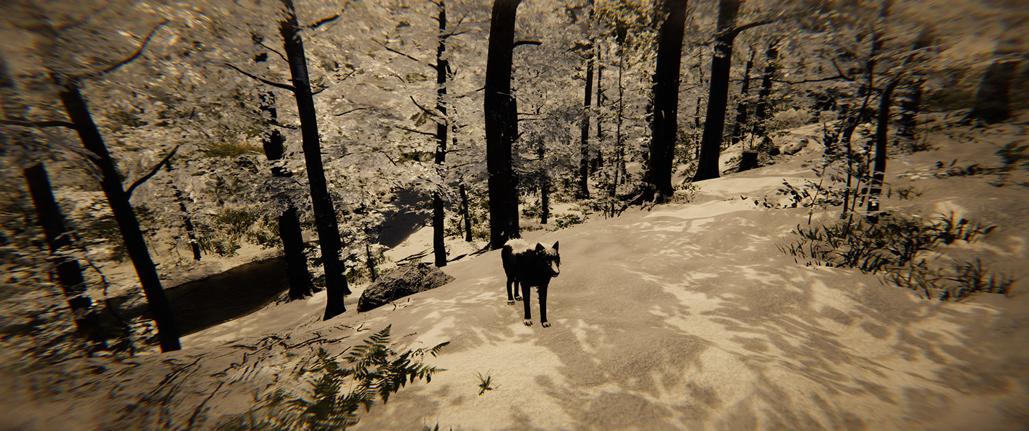 Animal Simulator screenshot 39
