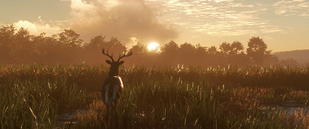 TheHunter: Call of the Wild - Mississippi Acres Preserve thumbnail