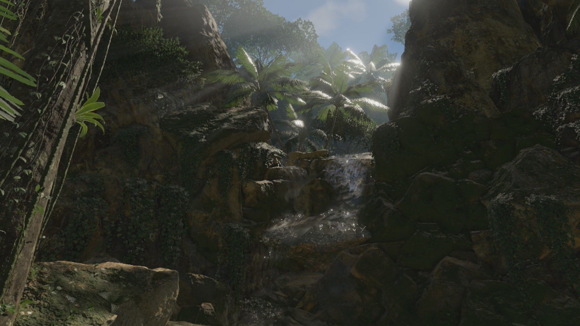Green Hell VR screenshot 9