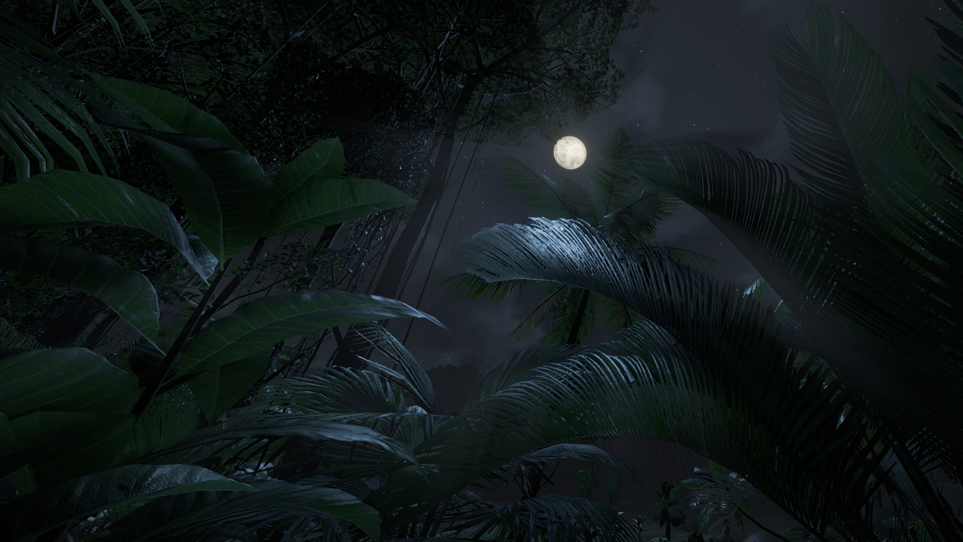 Green Hell VR screenshot 6