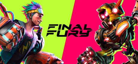FINAL FURY Cover Image