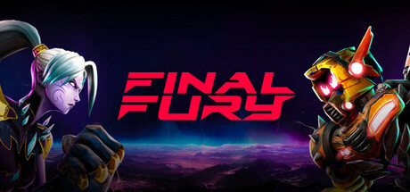 FINAL FURY Cover Image