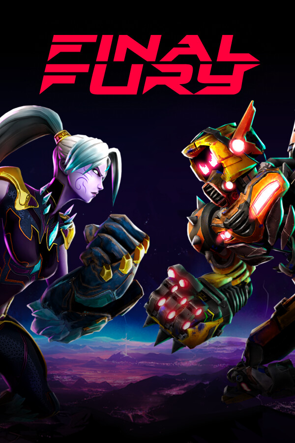 FINAL FURY