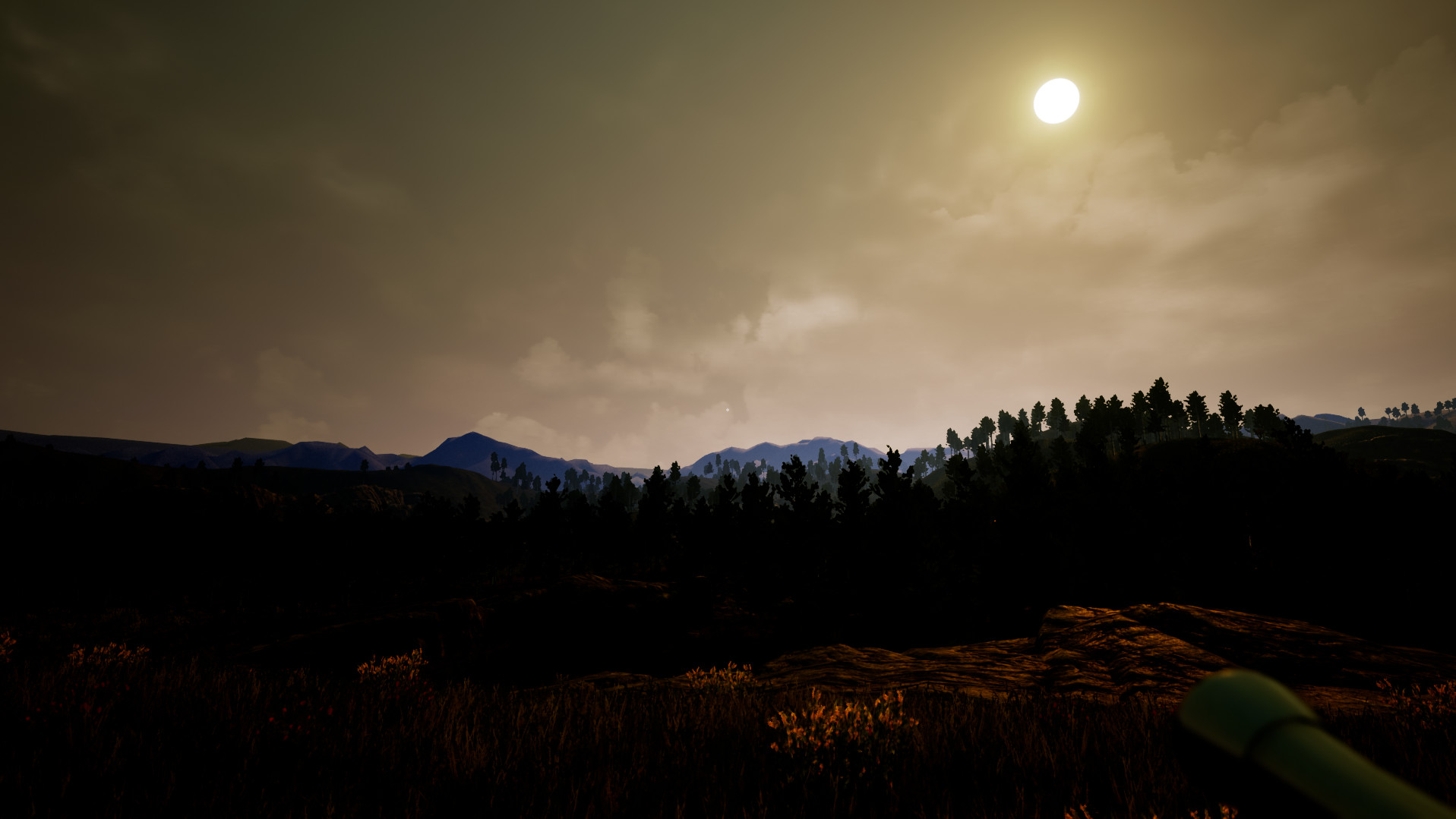 Violation screenshot 5