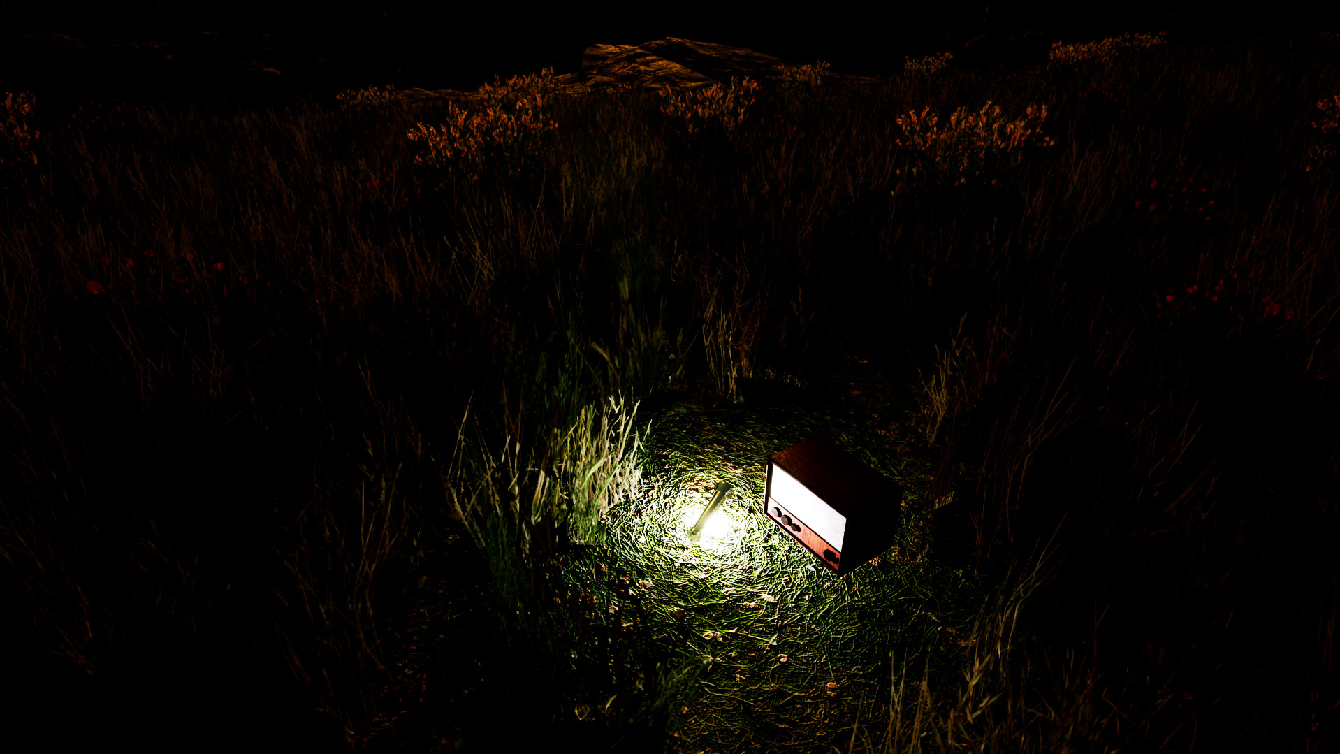 Violation screenshot 7