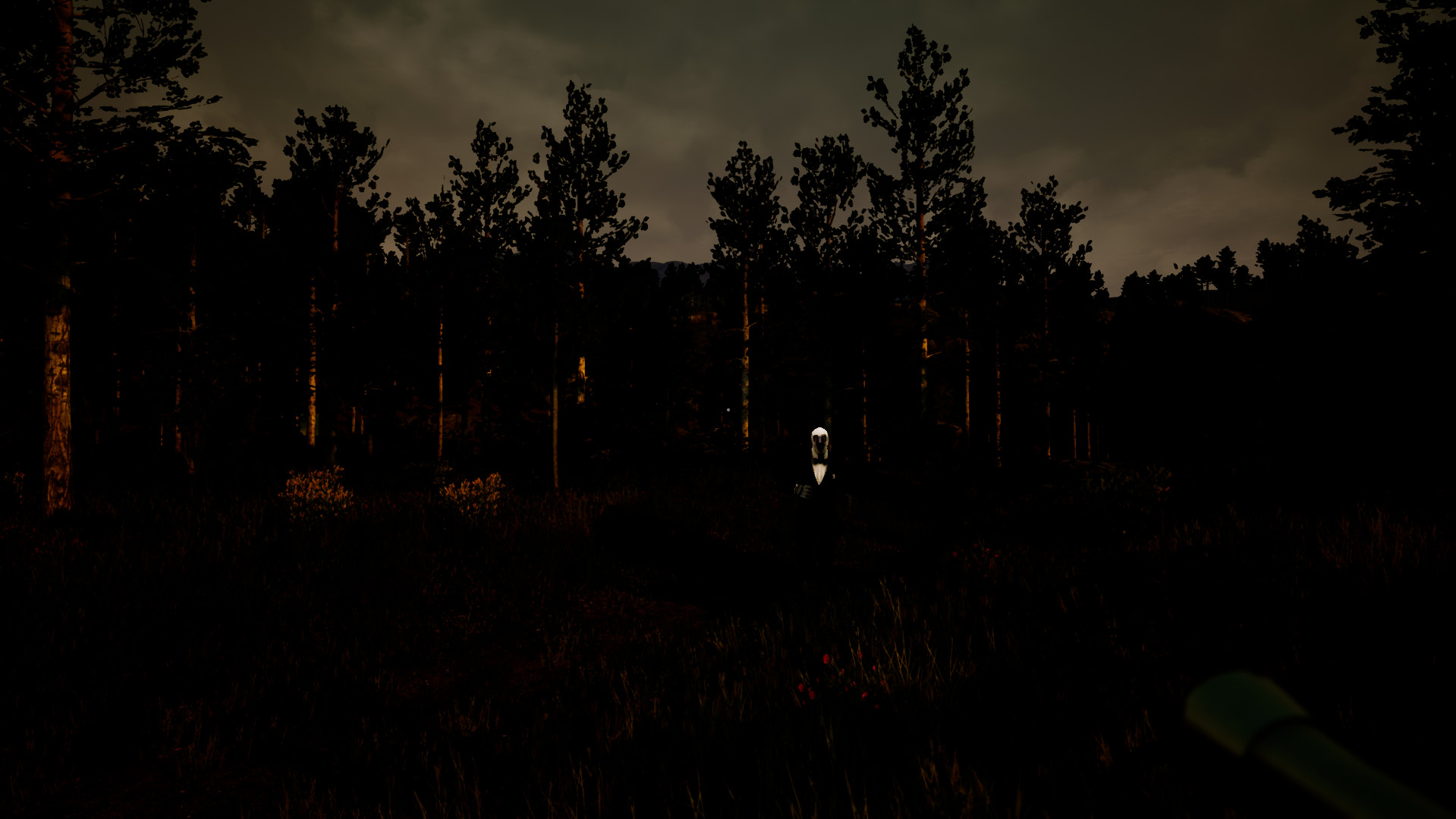 Violation screenshot 4