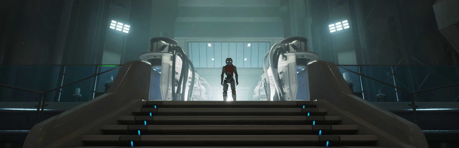 Capsule