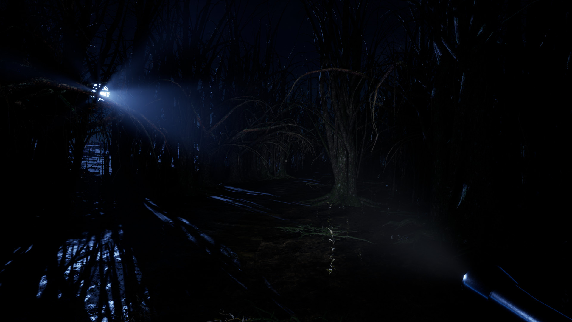 DEBT - CHASING TREASURE screenshot 18