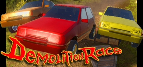 Demolition race Cover Image