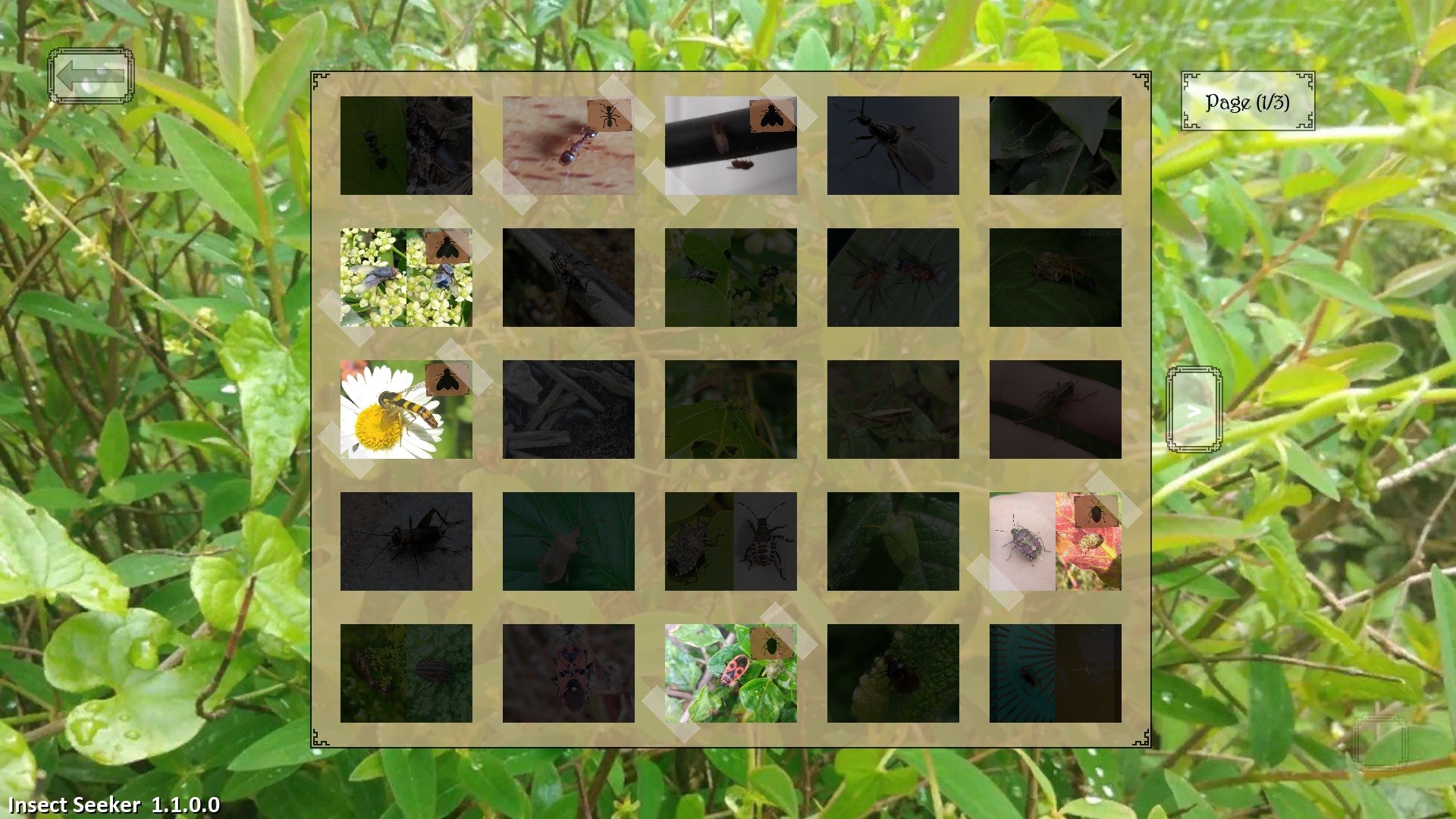 Insect Seeker screenshot 5