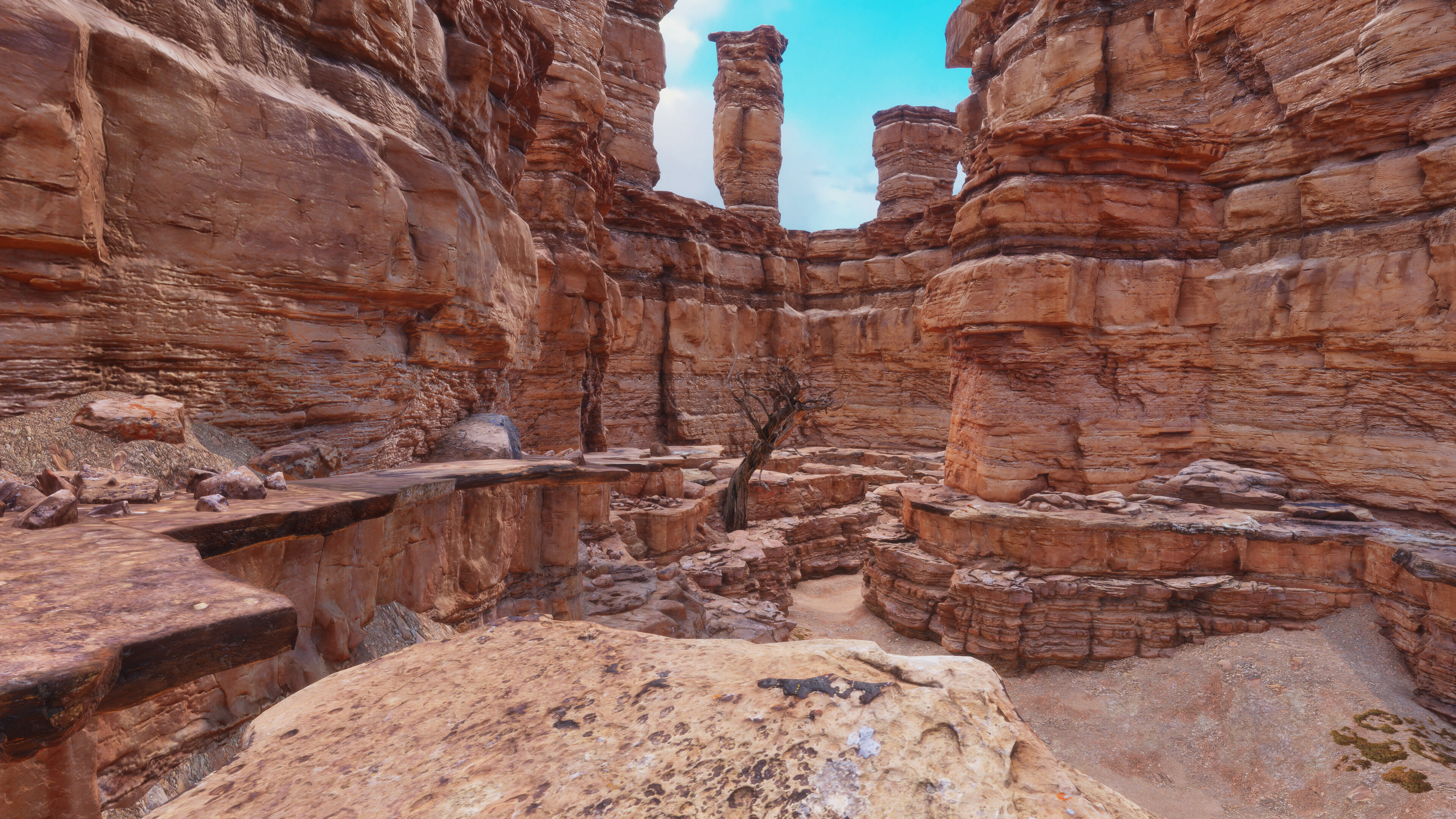 Nature for Clip maker screenshot 29