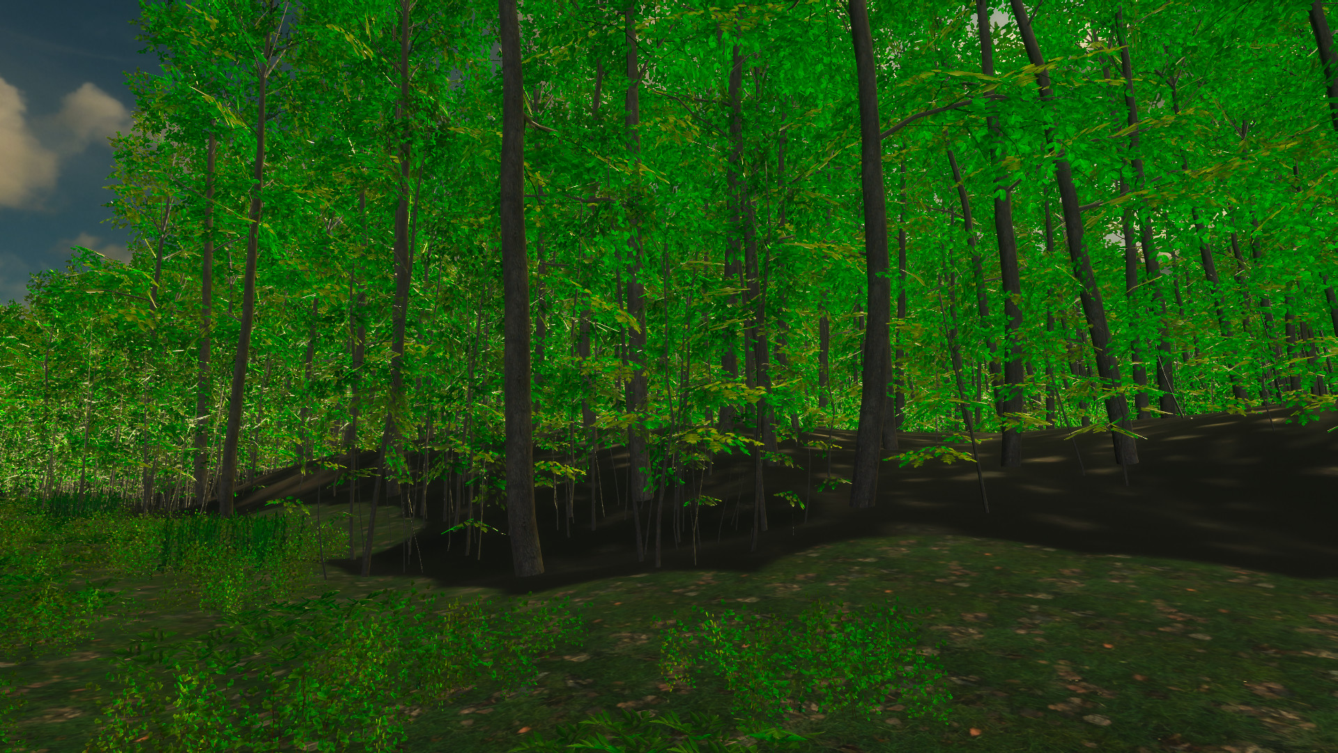 Nature for Clip maker screenshot 24