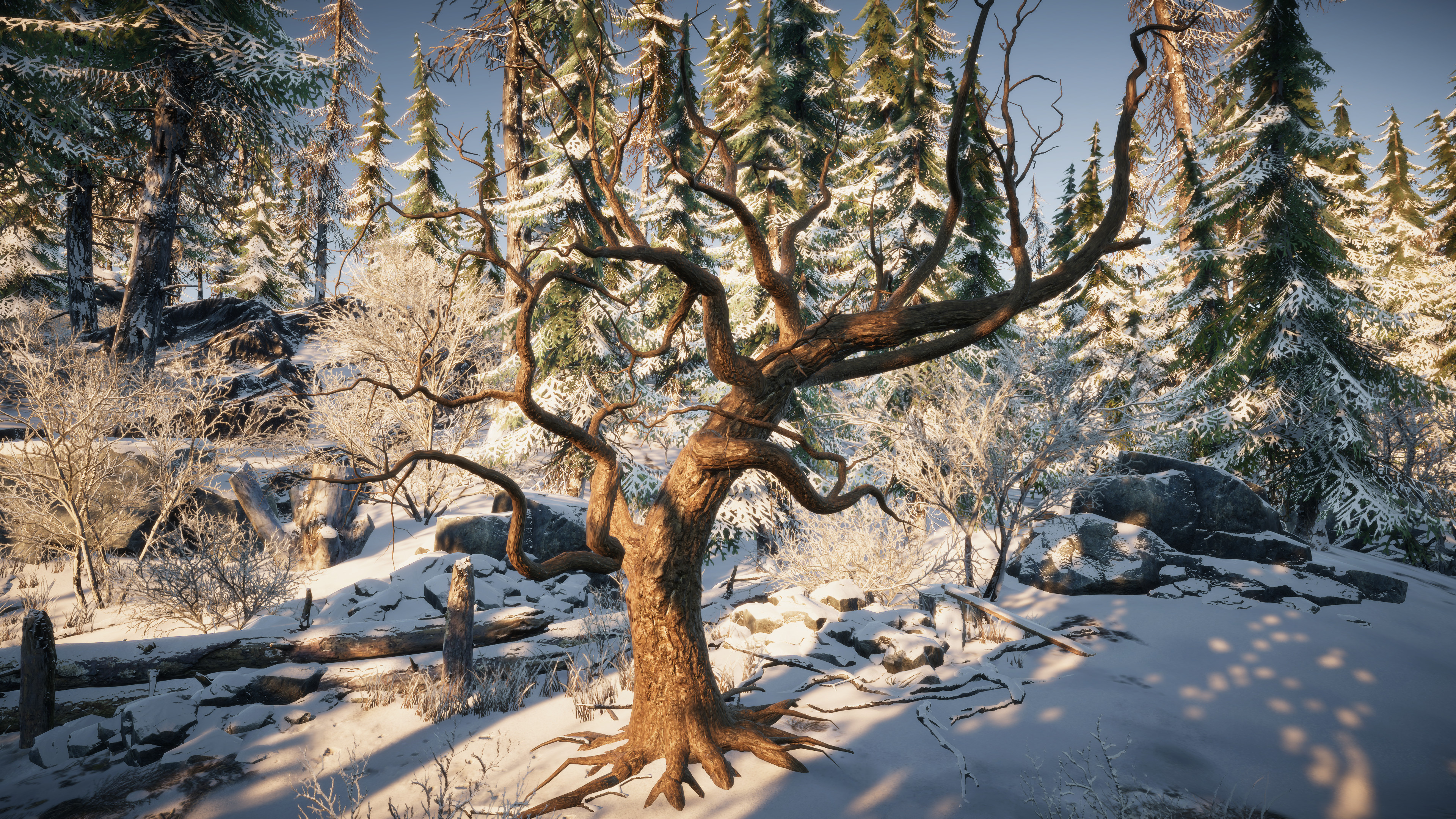 Nature for Clip maker screenshot 23